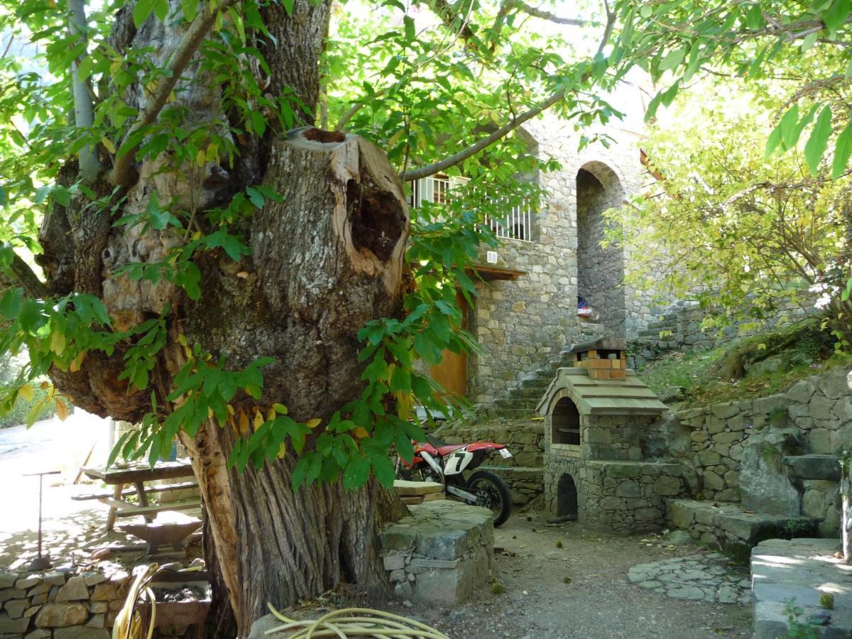 Chambre D'Hote "Chez Antoinette Et Charles" Santo-Pietro-di-Venaco Luaran gambar