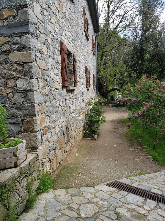 Chambre D'Hote "Chez Antoinette Et Charles" Santo-Pietro-di-Venaco Luaran gambar